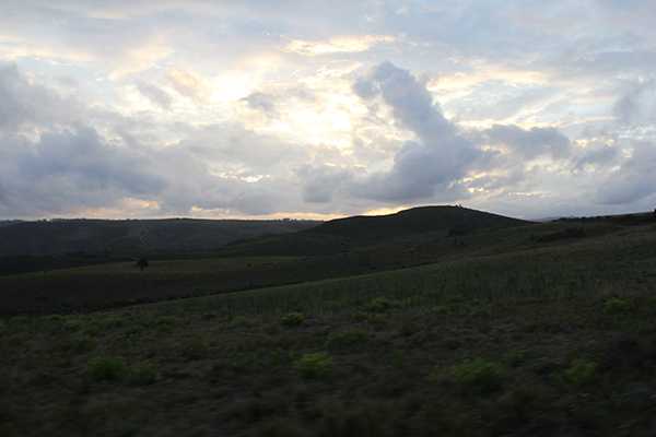 safari in sudafrica