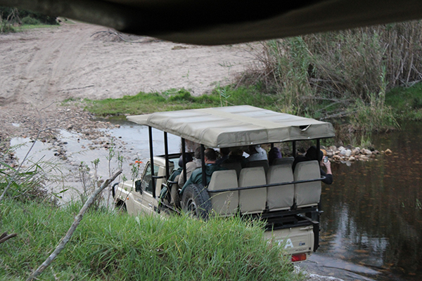 safari in sudafrica