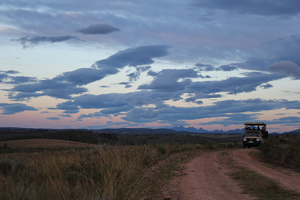 safari in sudafrica