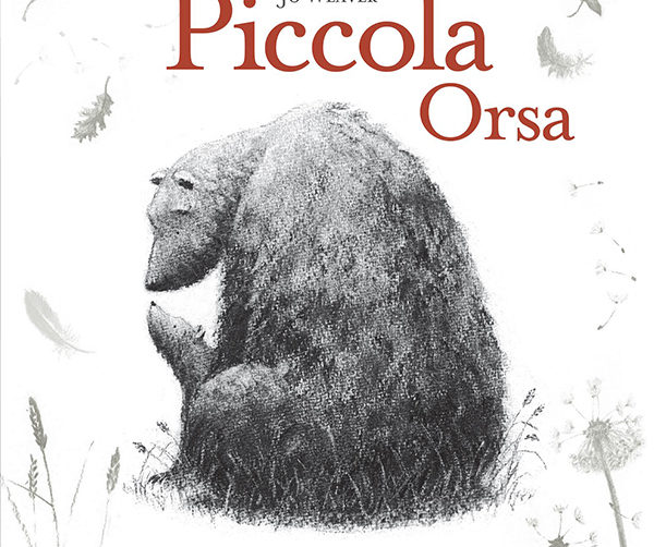 piccola orsa