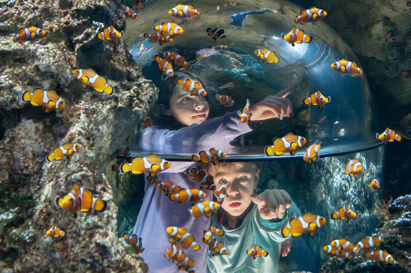 Gardaland SEA LIFE Aquarium