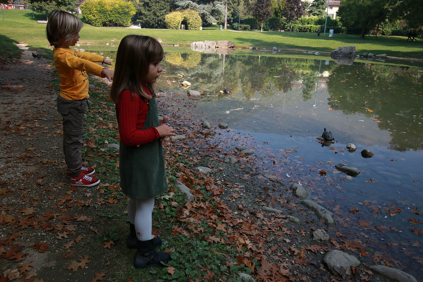 i colori dell'autunno Ricominciodaquattro