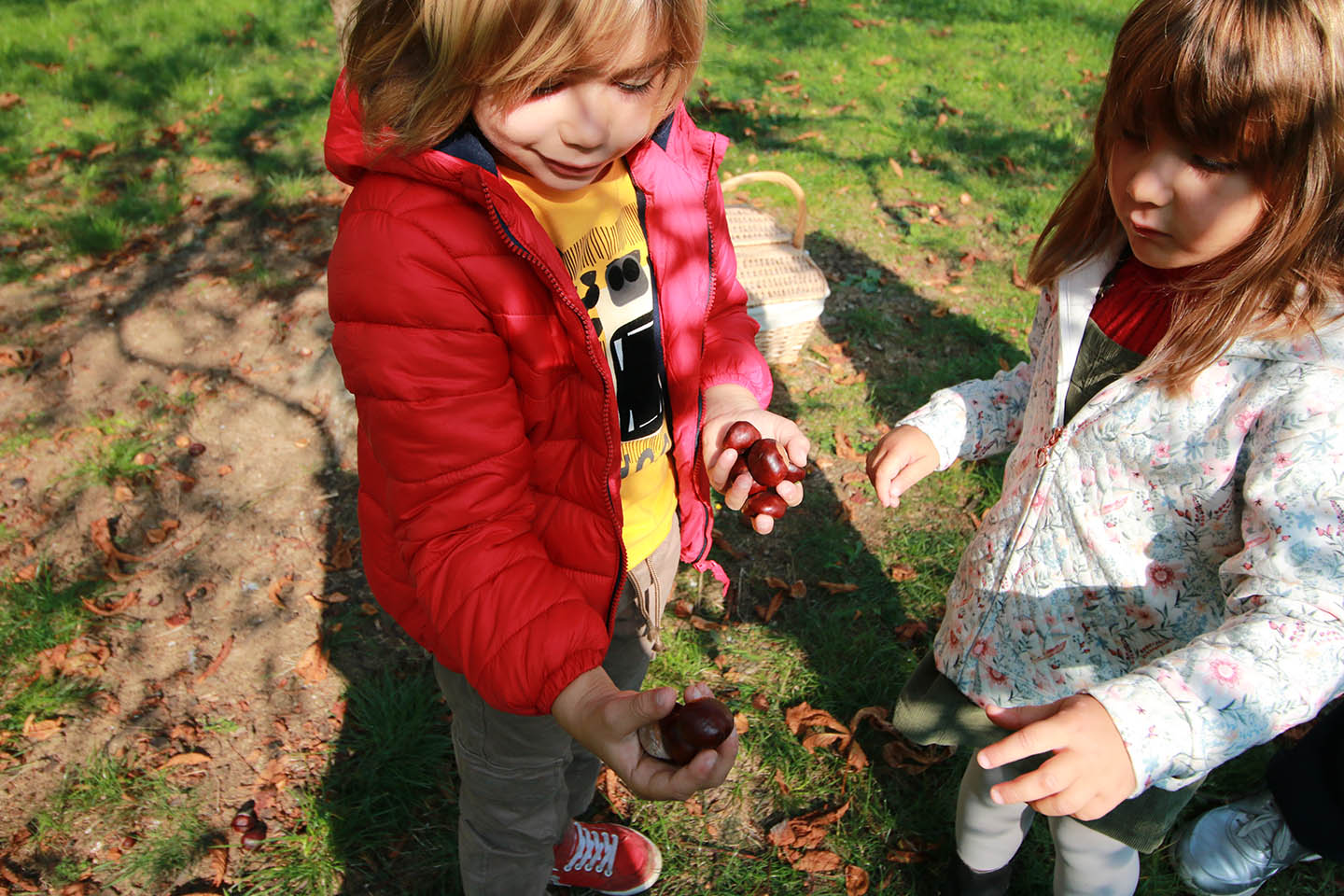 i colori dell'autunno ricominciodaquattro