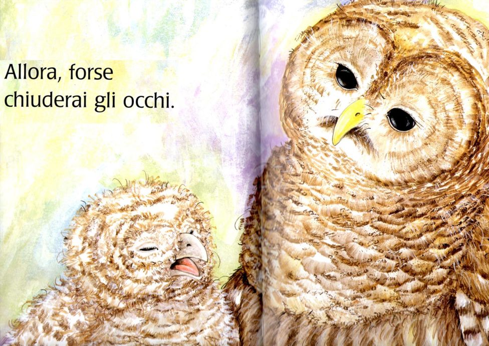 Coccole Sonore Ninne Nanne Dal Mondo