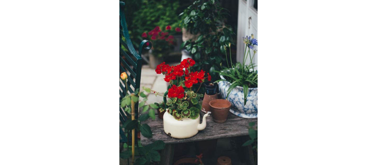 preparare il giardino alla primavera