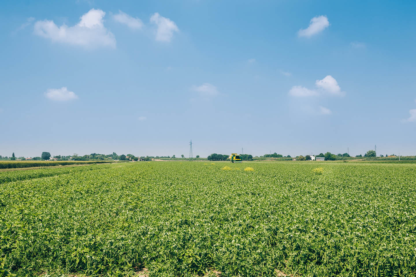 una giornata in orogel Ricominciodaquattro