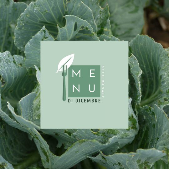 Menu settimanale di dicembre equilibrato e sano